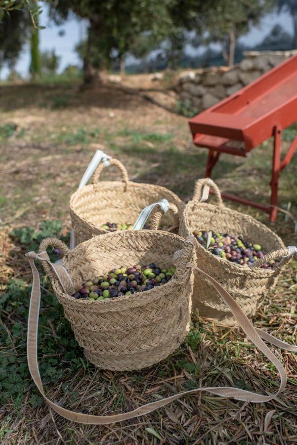 Cortijo La Organic Hotel Ronda Kültér fotó