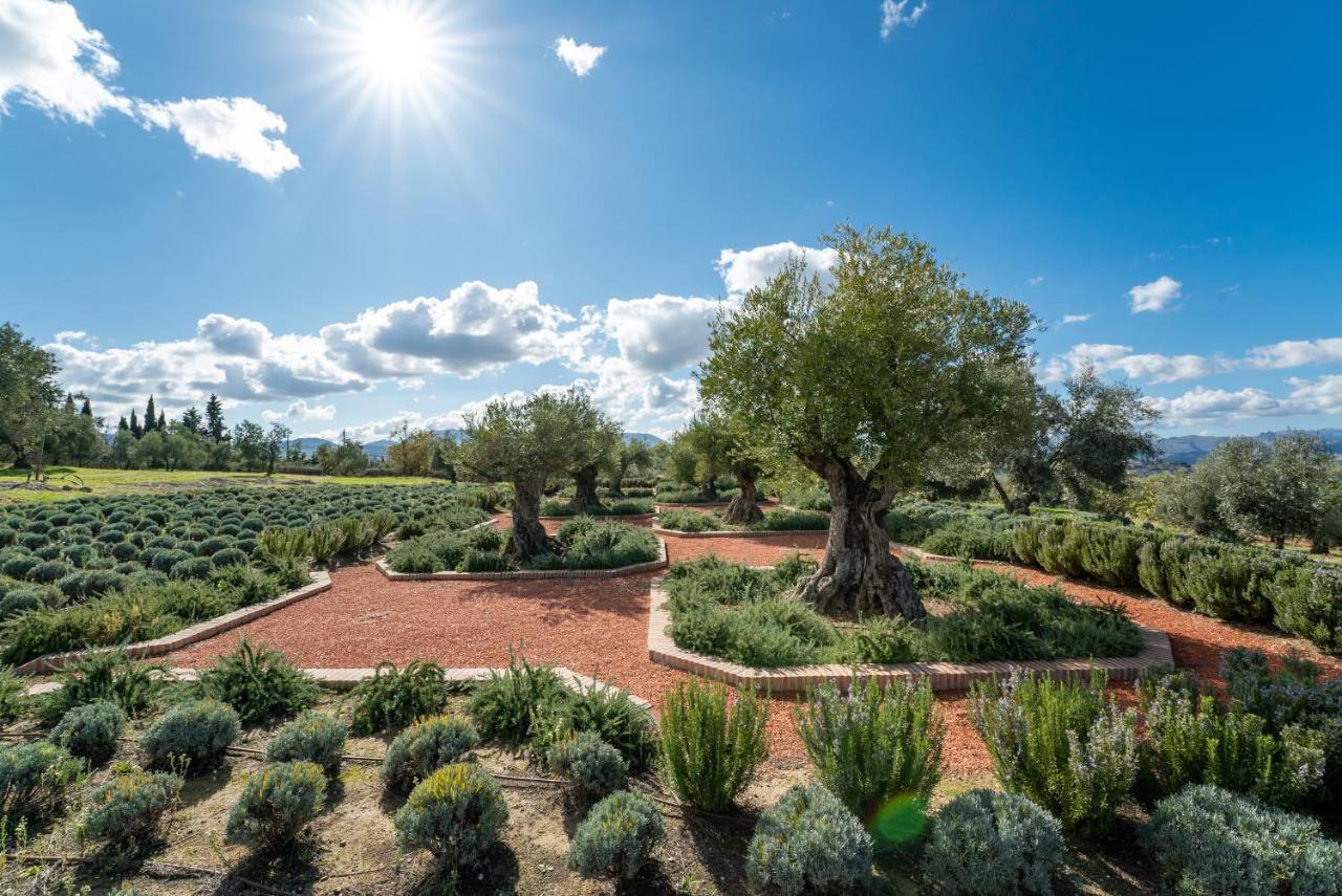 Cortijo La Organic Hotel Ronda Kültér fotó