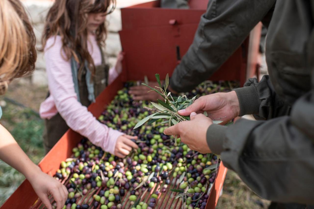 Cortijo La Organic Hotel Ronda Kültér fotó
