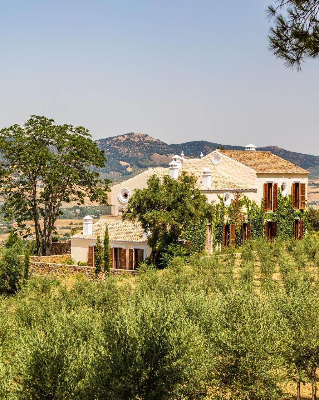 Cortijo La Organic Hotel Ronda Kültér fotó